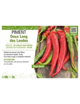 PIMENT DOUX LONG DES LANDES