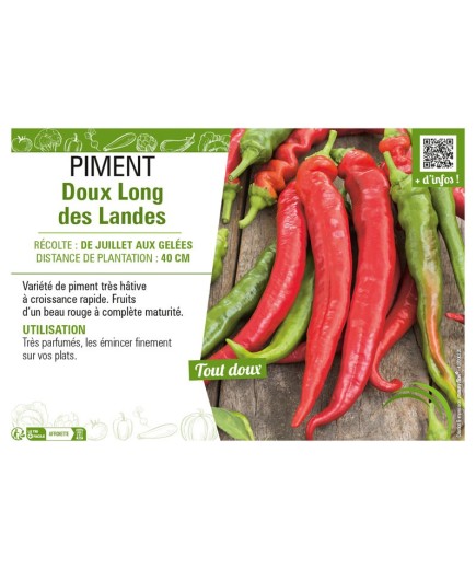 PIMENT DOUX LONG DES LANDES