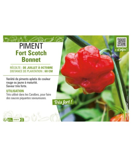 PIMENT FORT SCOTCH BONNET