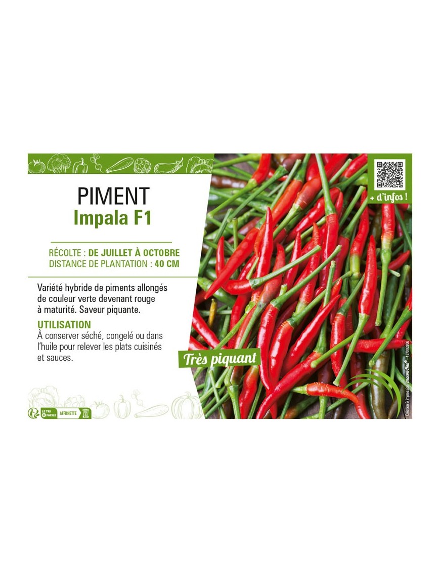 PIMENT IMPALA F1