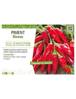 PIMENT OISEAU