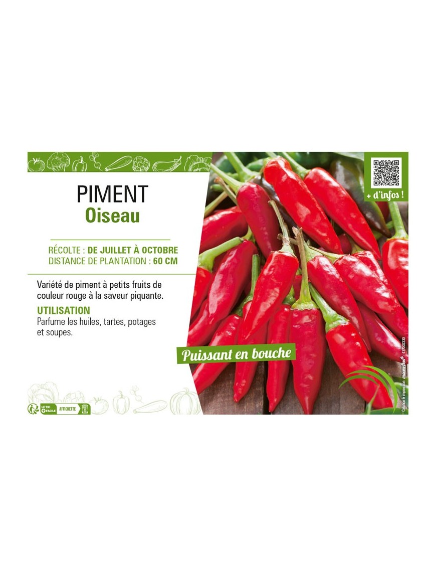 PIMENT OISEAU