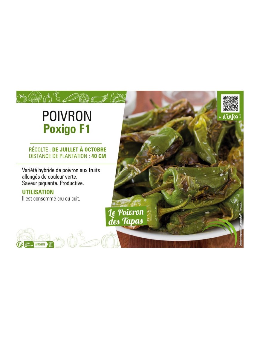 PIMENT POXIGO F1