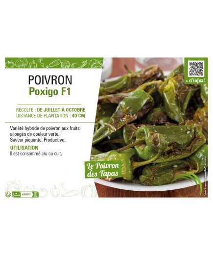 PIMENT POXIGO F1