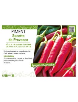 PIMENT SUCETTE DE PROVENCE