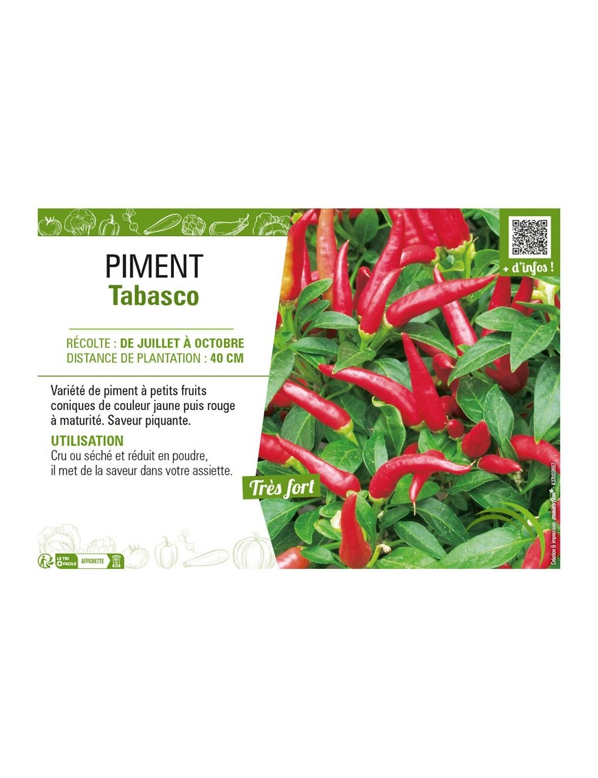 PIMENT TABASCO