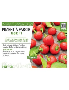 PIMENT TOPIK F1 à farcir