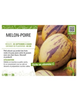 POIRE-MELON