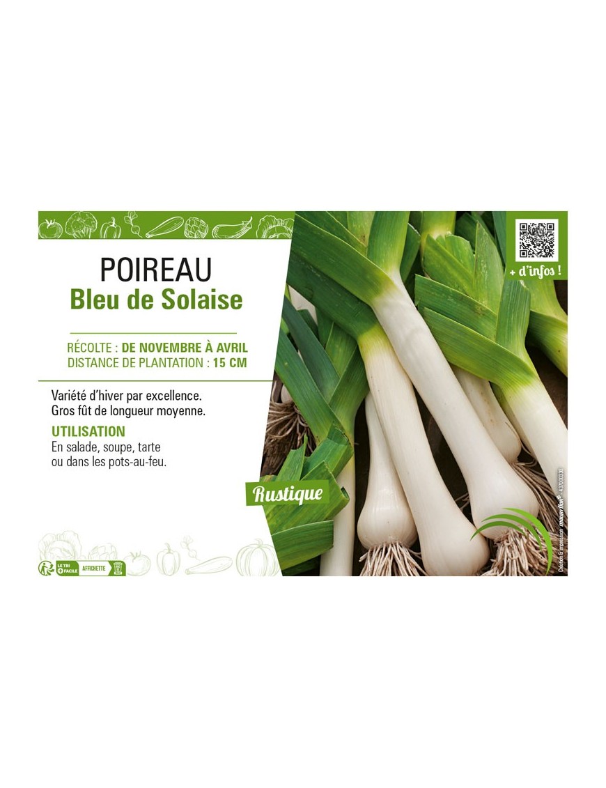 POIREAU BLEU DE SOLAISE