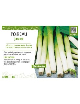 POIREAU JAUNE