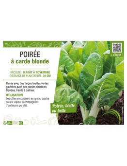 POIRÉE À CARDE BLONDE