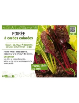 POIRÉE À CARDES COLORÉES