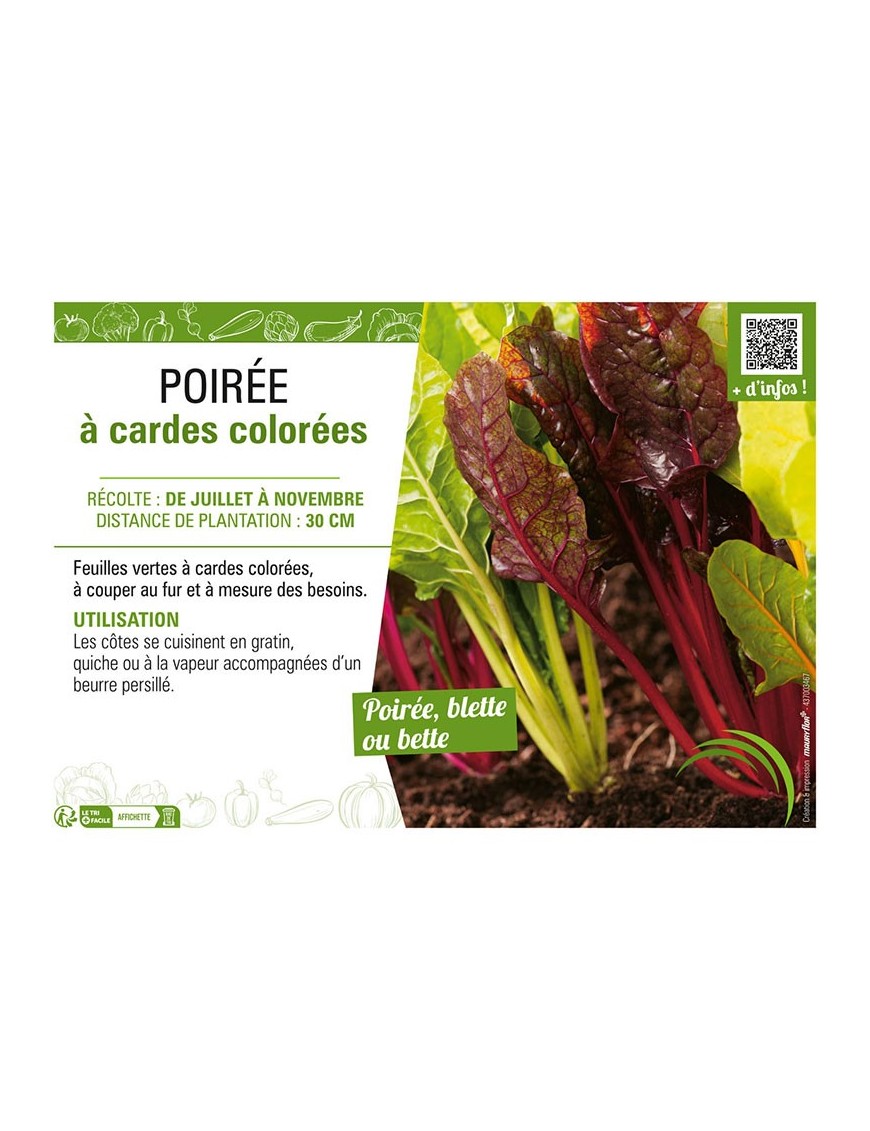 POIRÉE À CARDES COLORÉES
