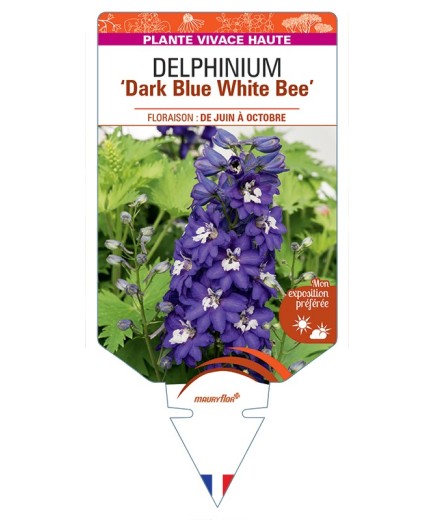 DELPHINIUM Excalibur Dark Blue