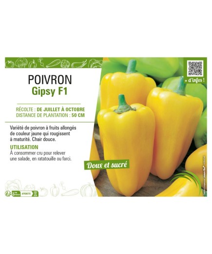 POIVRON (DOUX) GYPSY F1