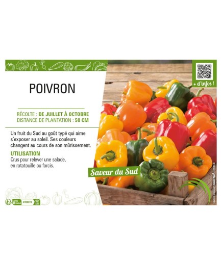 POIVRON (vert et jaune)