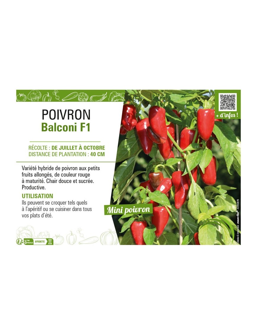POIVRON BALCONI F1