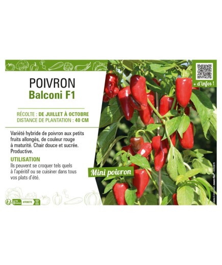 POIVRON BALCONI F1