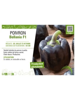 POIVRON BELLANIA F1