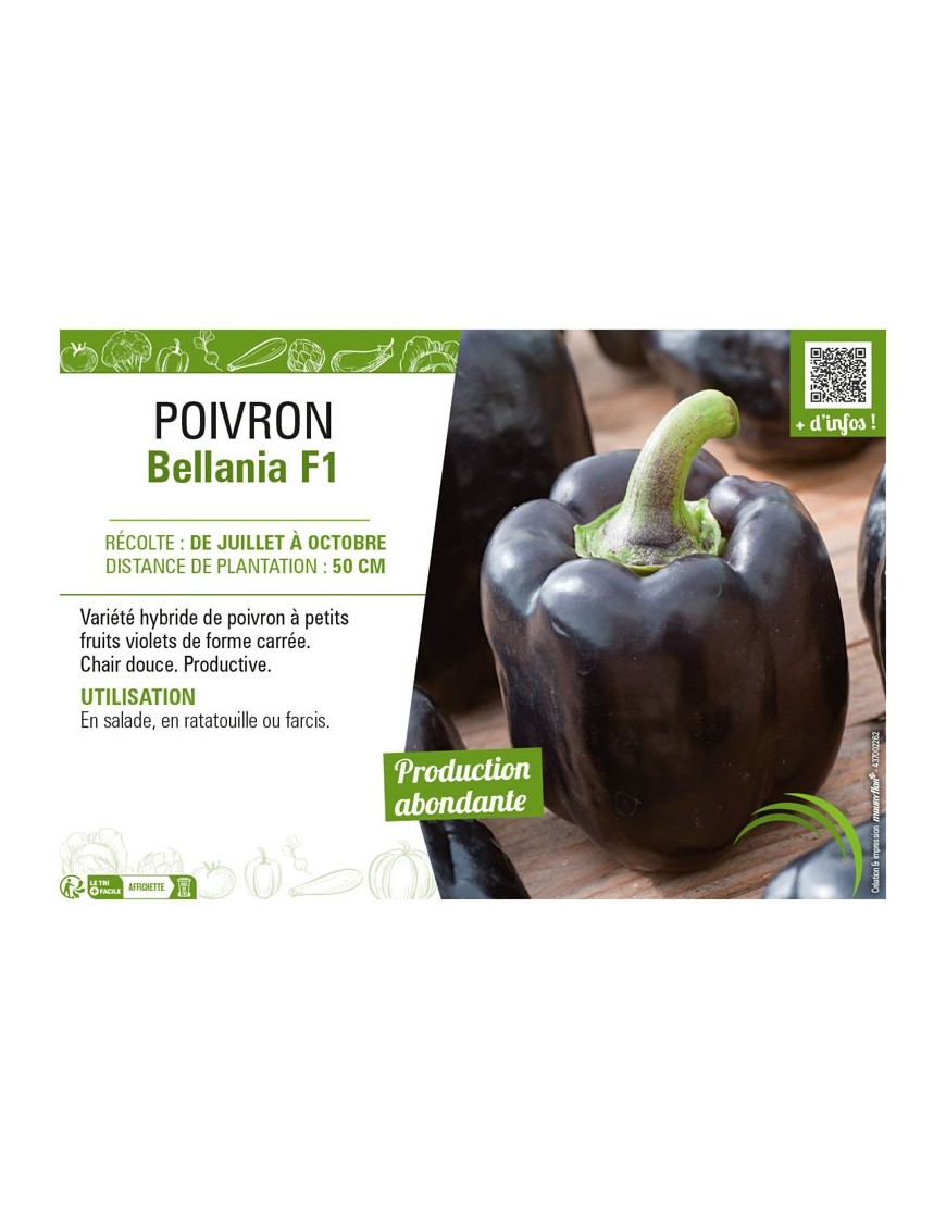 POIVRON BELLANIA F1