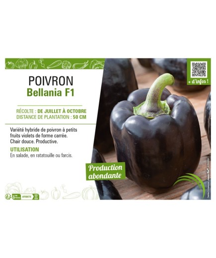 POIVRON BELLANIA F1