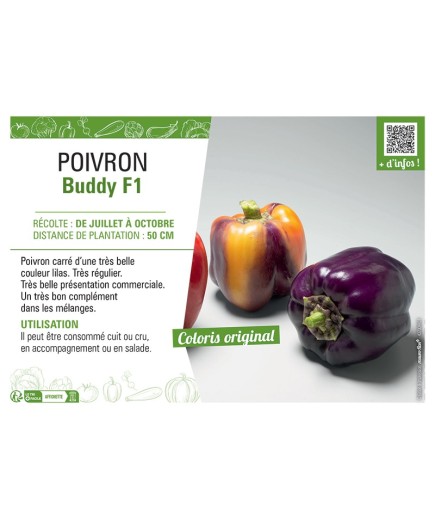 POIVRON BUDDY F1