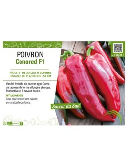 POIVRON CONORED F1