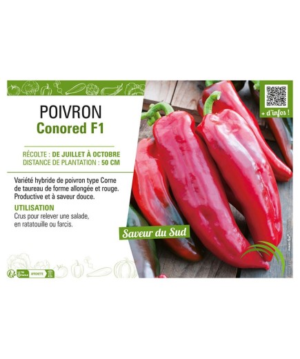 POIVRON CONORED F1