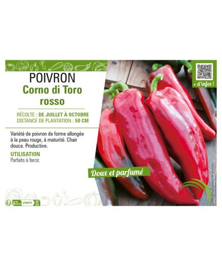 POIVRON CORNO DI TORO ROSSO (ROUGE)