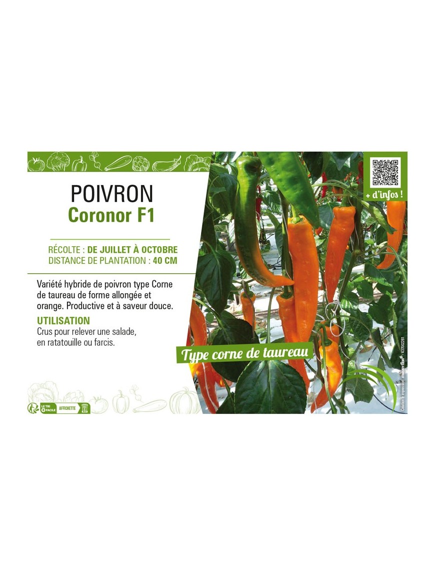 POIVRON CORONOR F1
