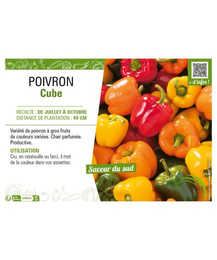 POIVRON CUBE