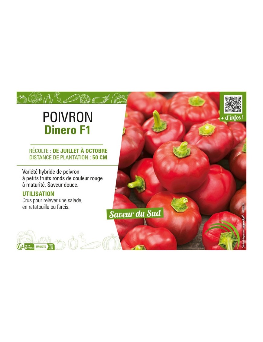 POIVRON DINERO F1
