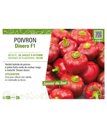 POIVRON DINERO F1