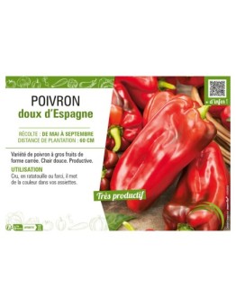 POIVRON DOUX D'ESPAGNE