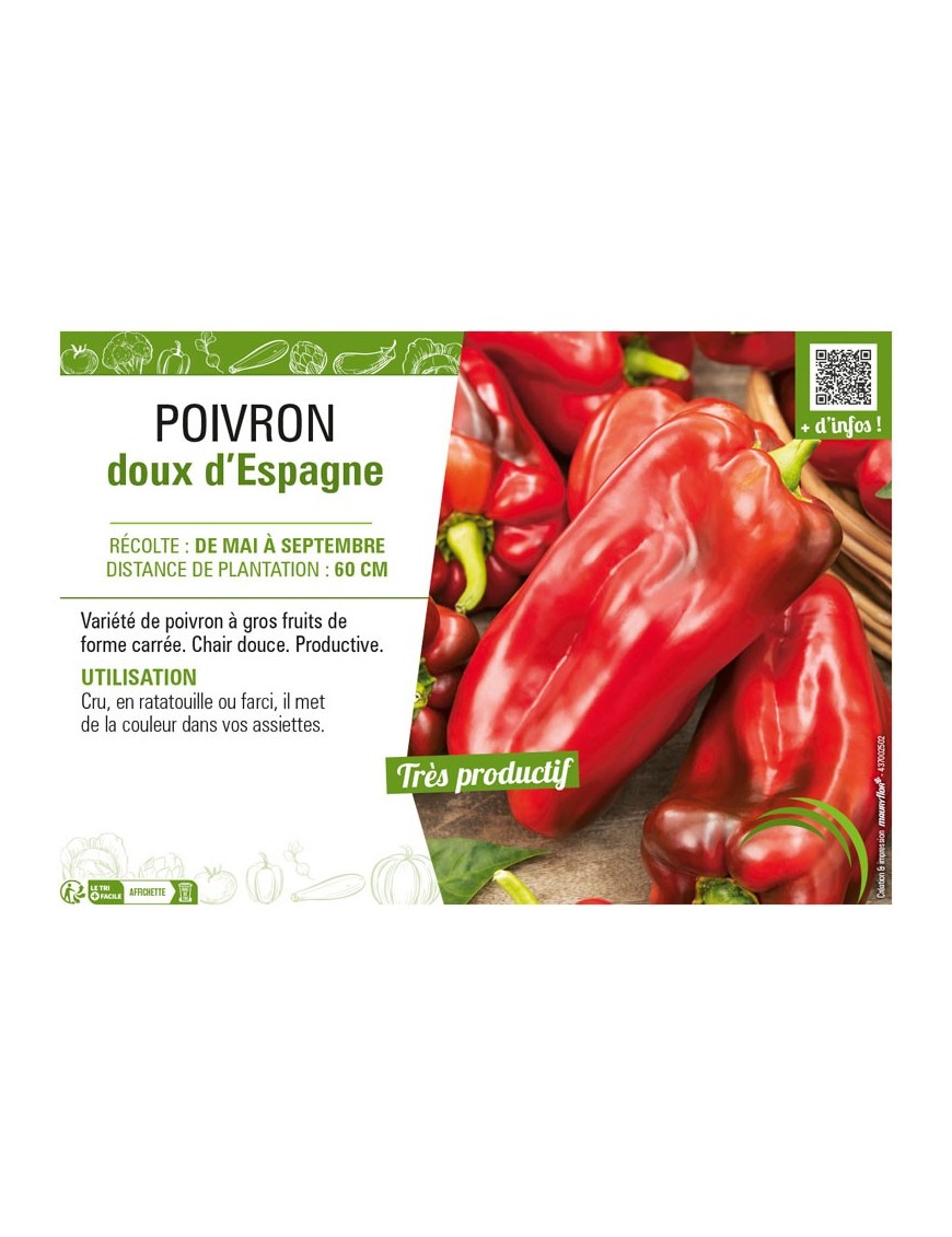 POIVRON DOUX D'ESPAGNE