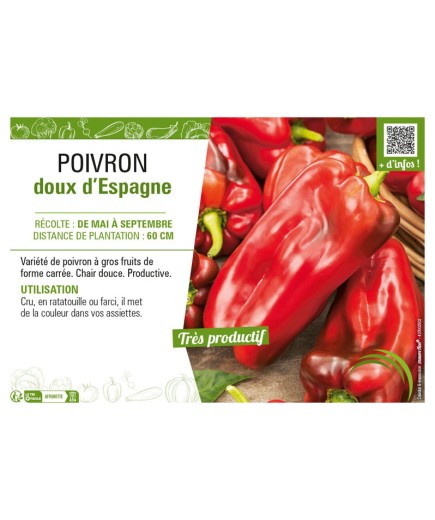 POIVRON DOUX D'ESPAGNE