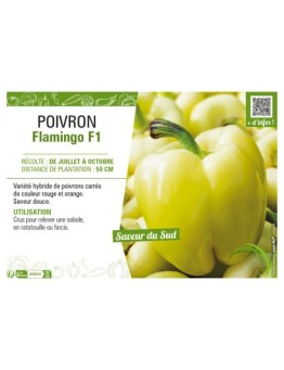 POIVRON FLAMINGO F1