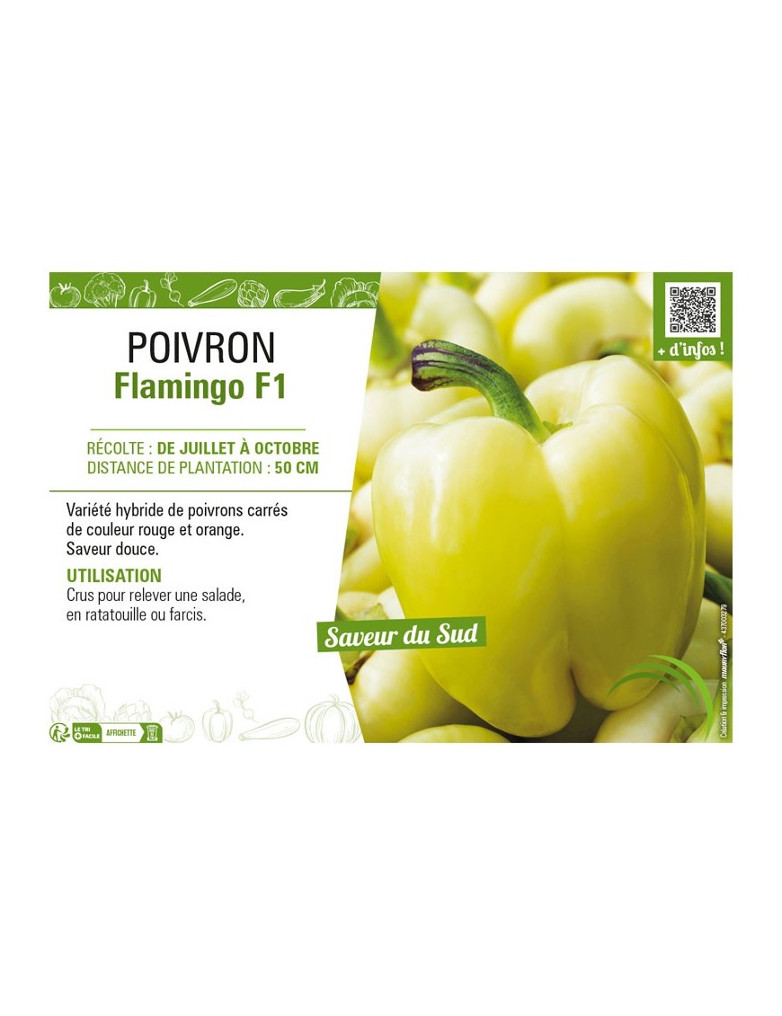 POIVRON FLAMINGO F1