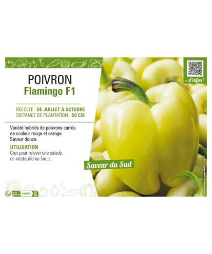 POIVRON FLAMINGO F1