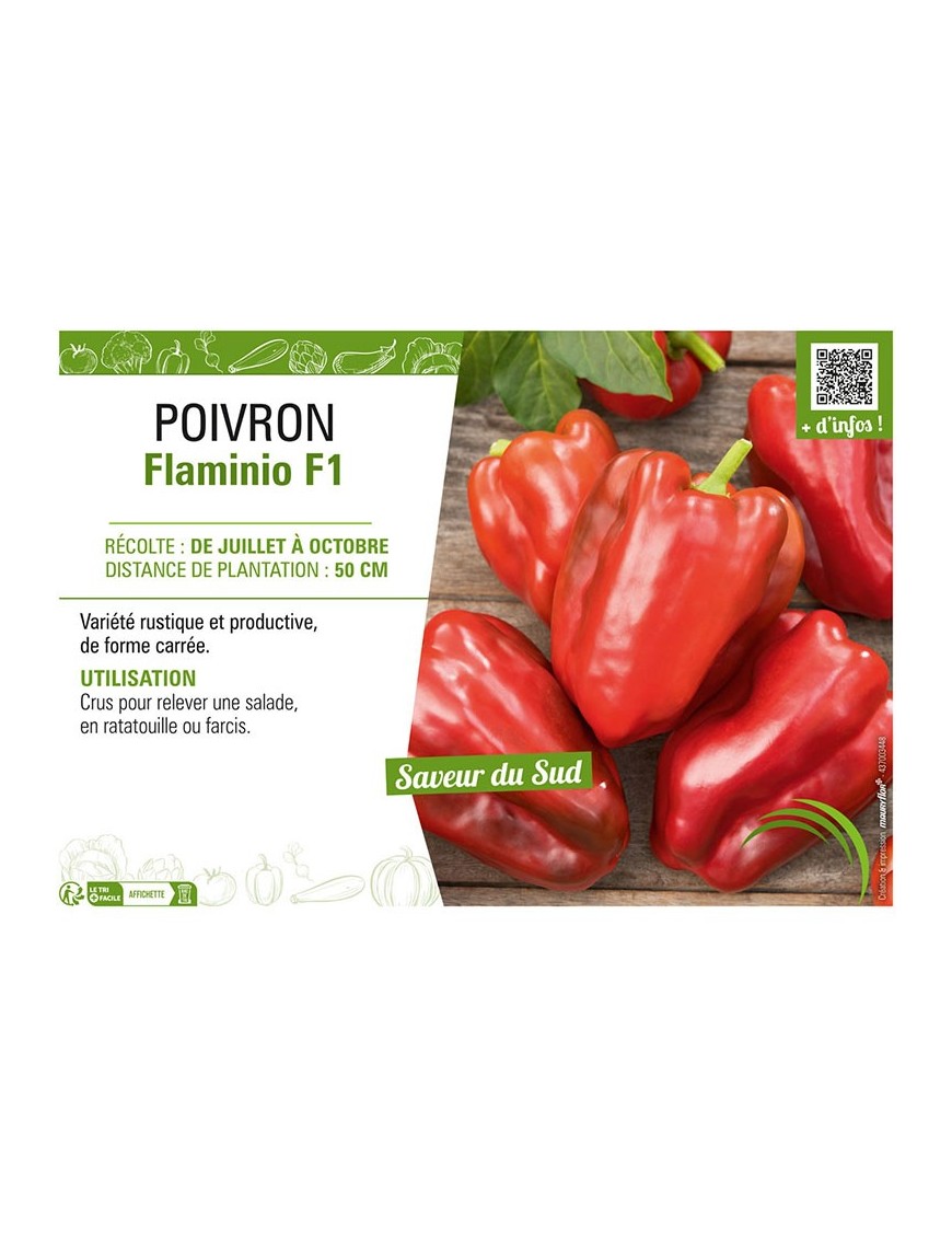 POIVRON FLAMINIO F1