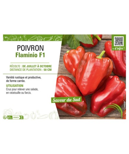 POIVRON FLAMINIO F1