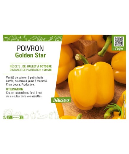 POIVRON GOLDEN STAR (JAUNE)