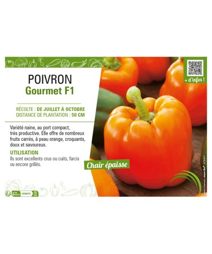POIVRON Gourmet F1