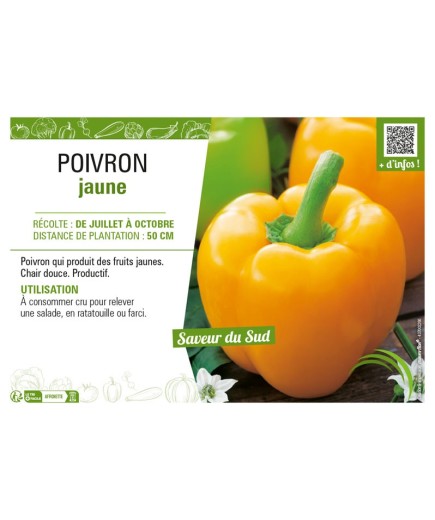 POIVRON JAUNE