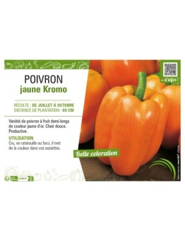 POIVRON JAUNE KROMO