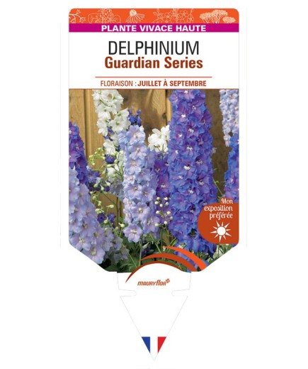 DELPHINIUM Guardian Series