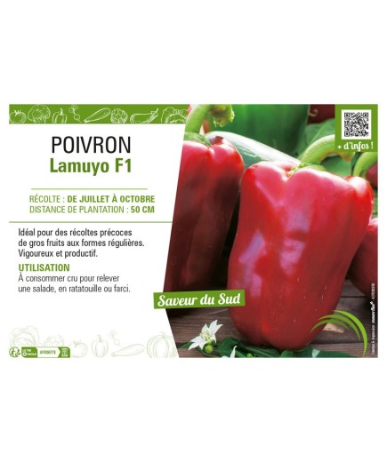 POIVRON LAMUYO F1