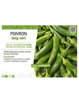 POIVRON LONG VERT