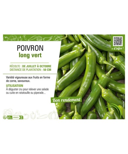 POIVRON LONG VERT