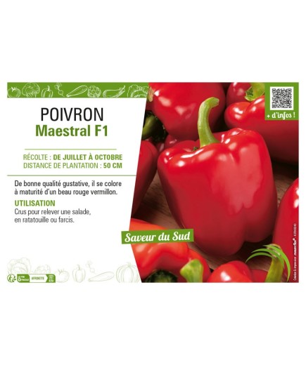 POIVRON MAESTRAL F1